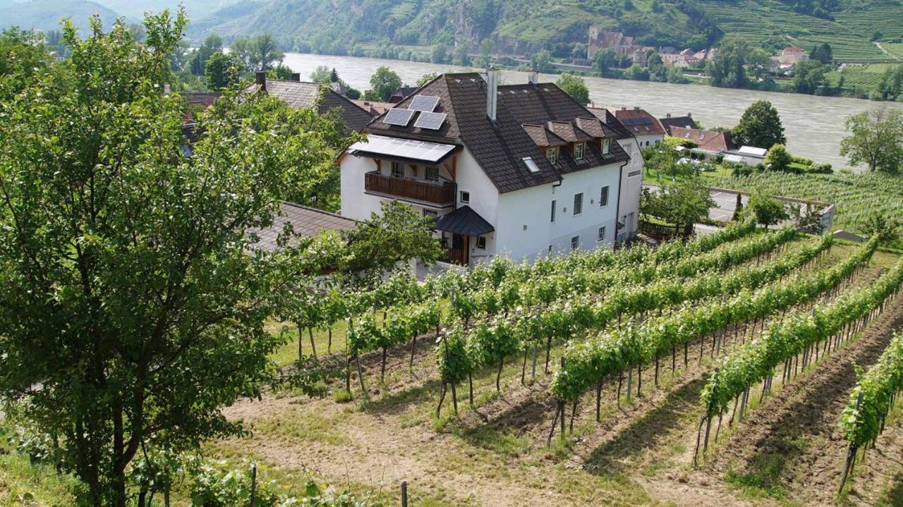 Weingut & Gaestezimmer Pammer Mitterarnsdorf Exteriér fotografie