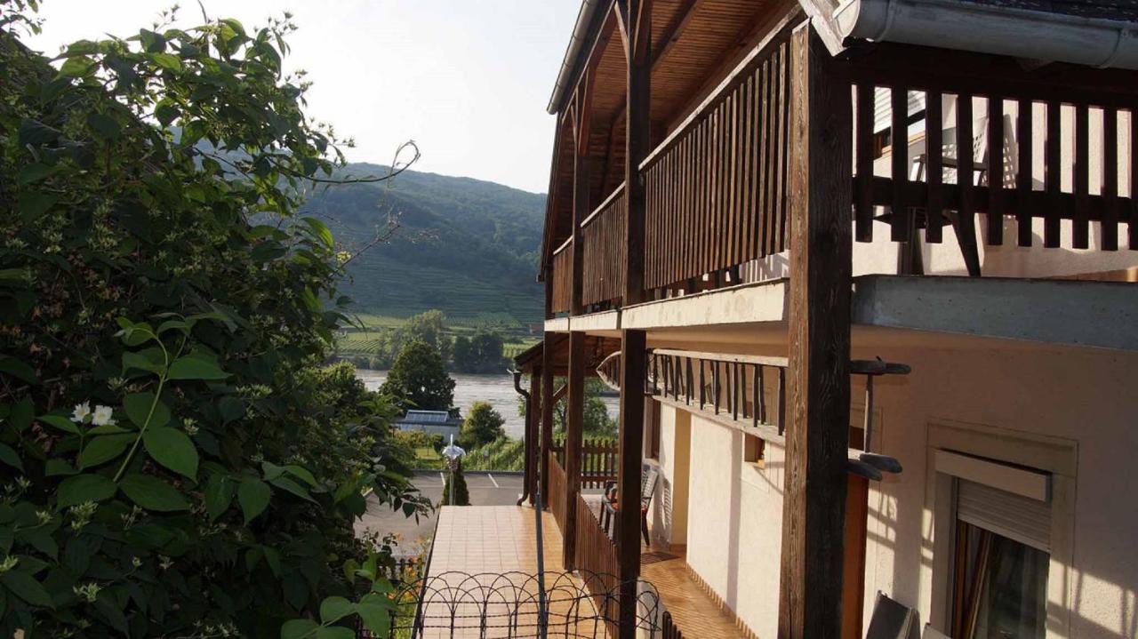 Weingut & Gaestezimmer Pammer Mitterarnsdorf Exteriér fotografie