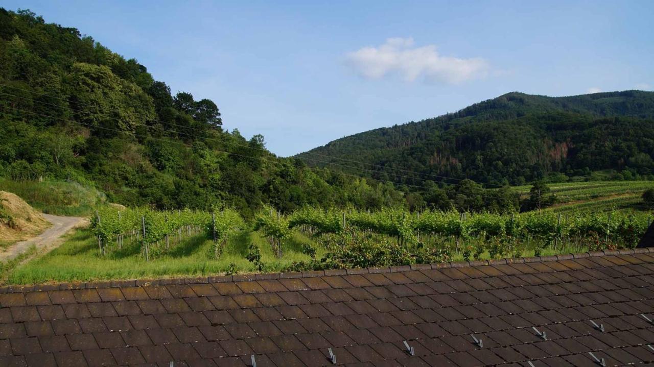 Weingut & Gaestezimmer Pammer Mitterarnsdorf Exteriér fotografie