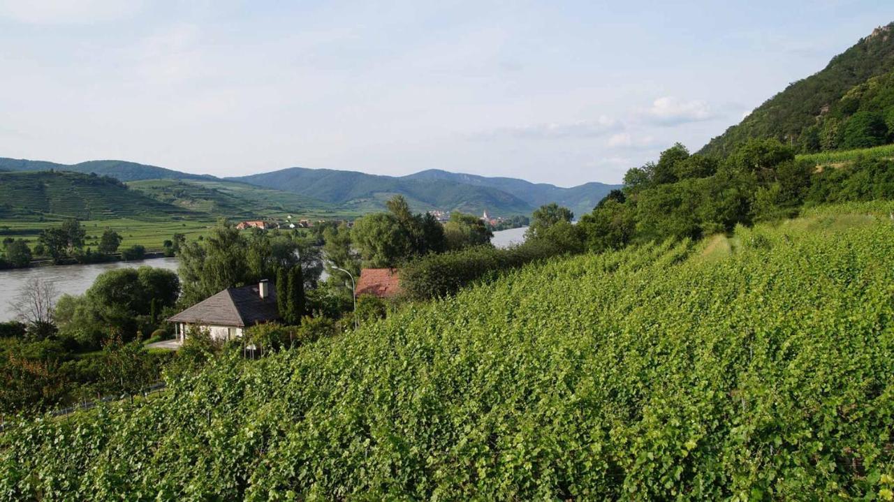 Weingut & Gaestezimmer Pammer Mitterarnsdorf Exteriér fotografie