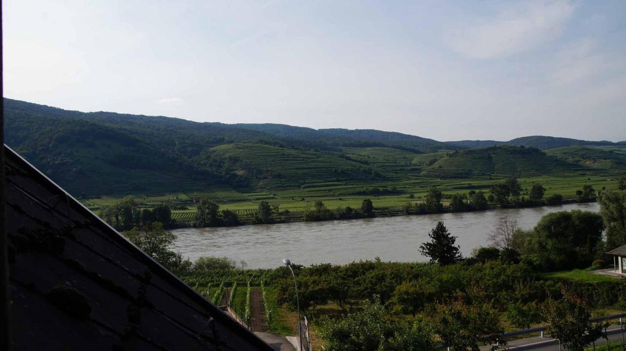 Weingut & Gaestezimmer Pammer Mitterarnsdorf Exteriér fotografie